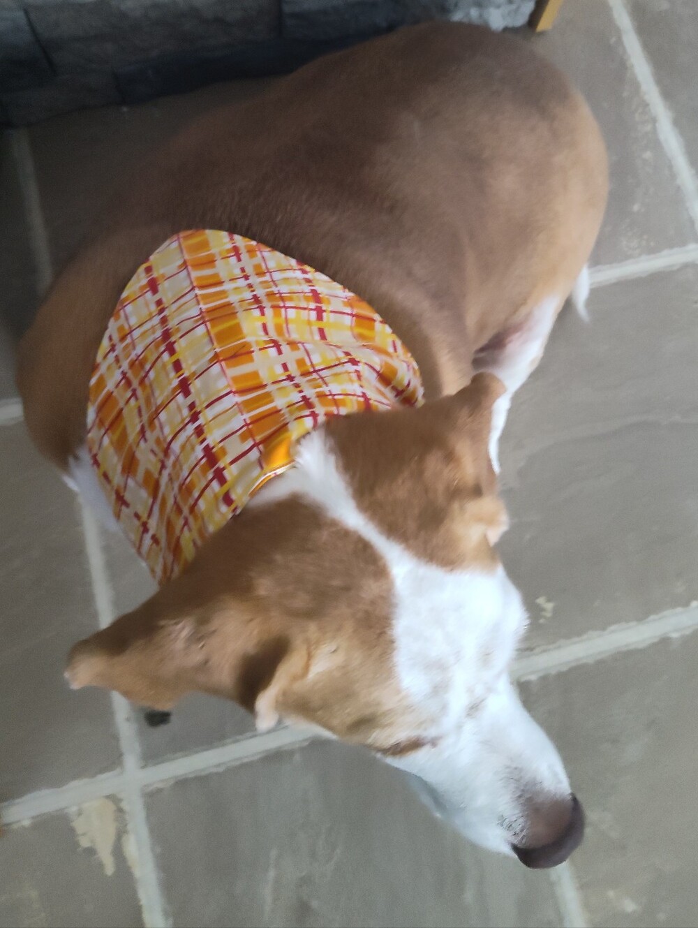 Plaid Yellow Orange Dog Bandana - Classic Pet Accessory